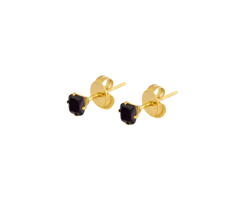 Ria Micro Stud Earrings