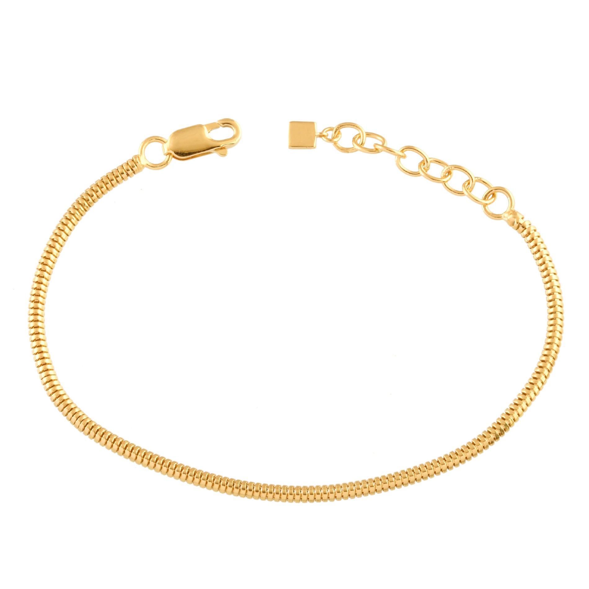 Danielle Ward The Minimal Snake Chain Bracelet