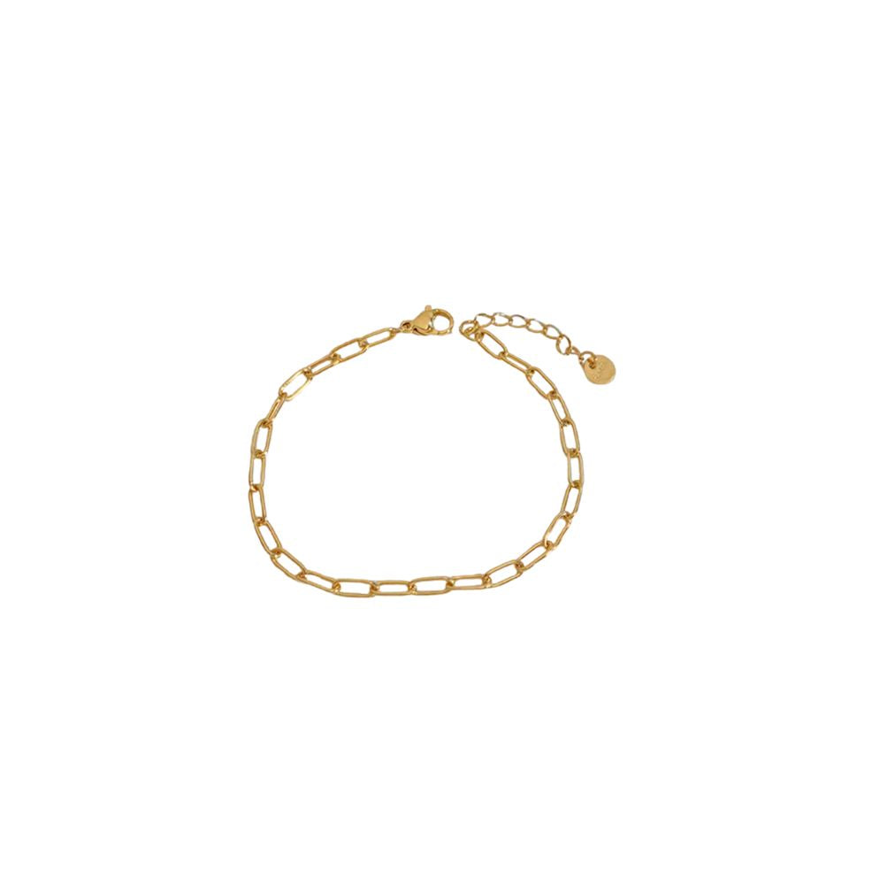 Penny Paperclip Bracelet