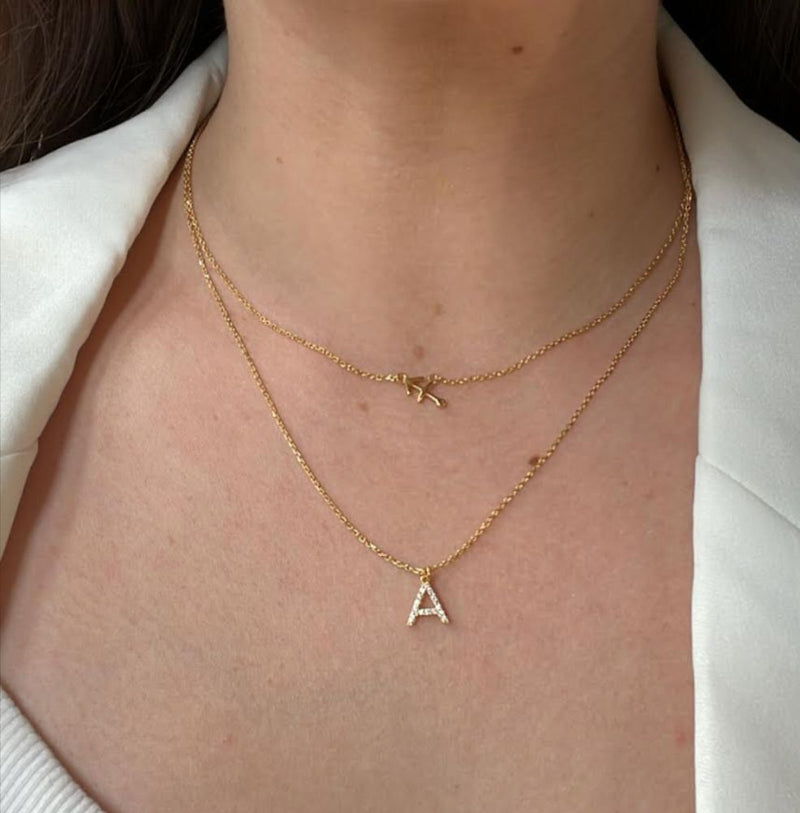 Dainty Zodiac symbol necklace