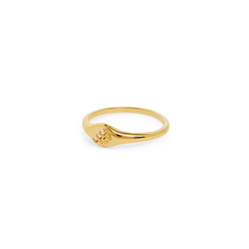 Sea & Stars signet ring